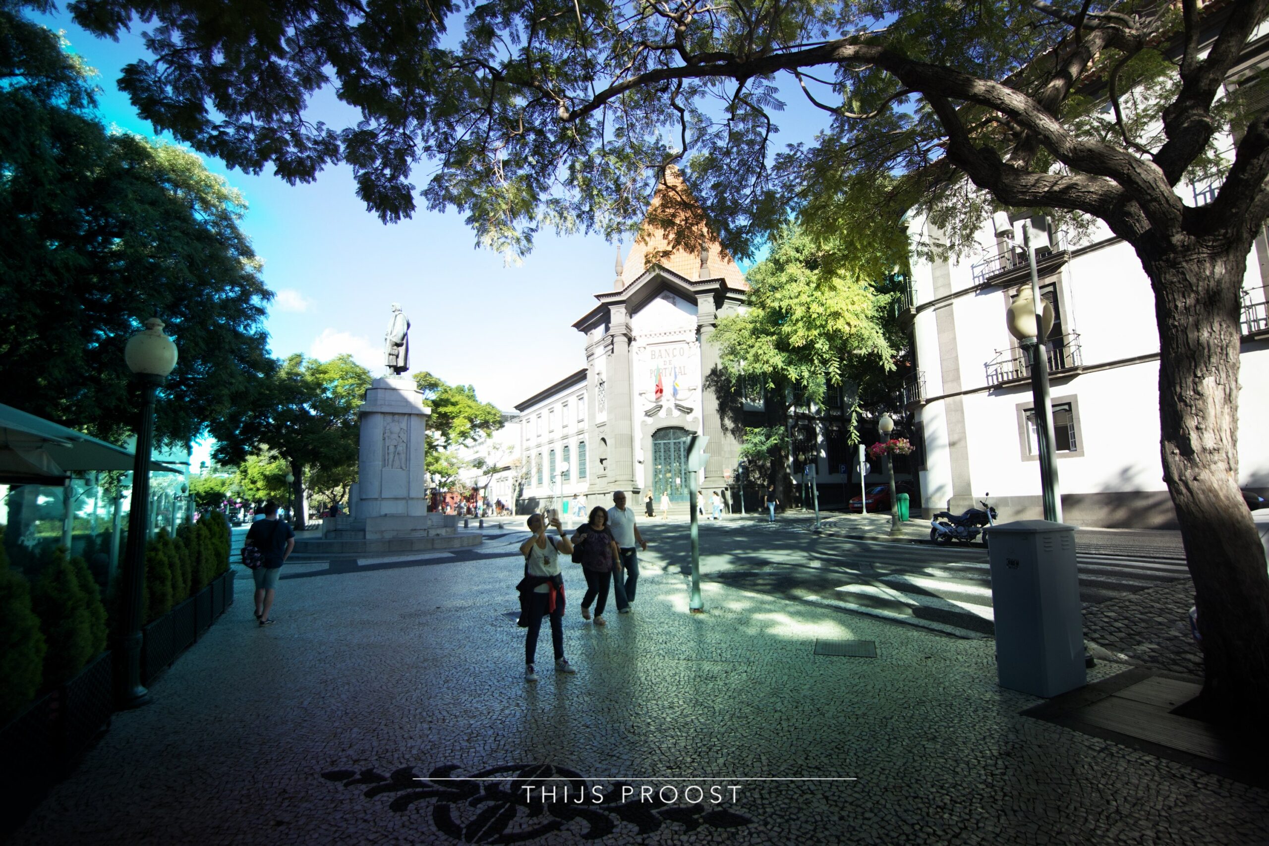 Market square in Funchal Madeira. A tree covers the top of the picture trowing a shadow over the ground. In the distance is a bank in an old Portugese style building. A statue stand at the center of the square.