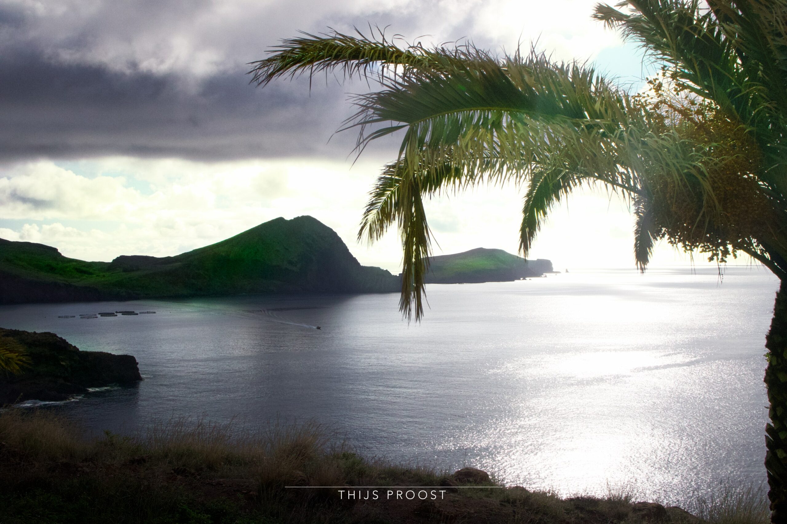 View of Ponta do Sao Lourenco, with a palmtree in front of it.